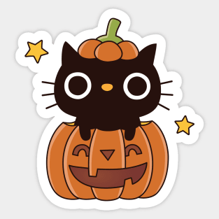 Cute Black Cat In Carved Pumpkin Halloween Sticker